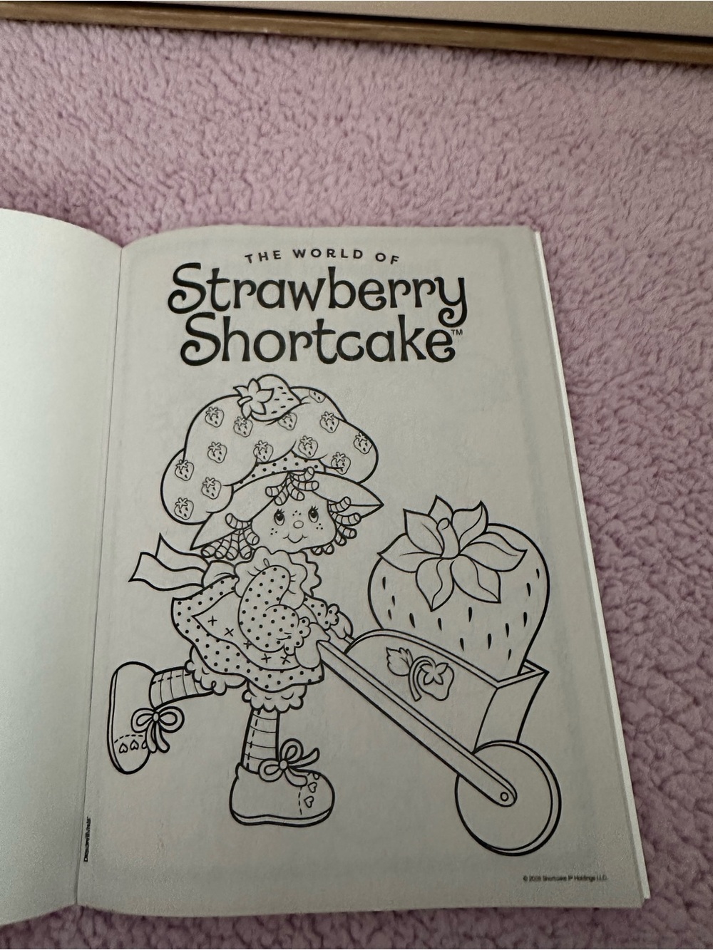 Strawberry Shortcake Pink Kids' Lunch Bag - Picture 7 of 10